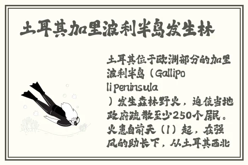 铿锵锵锵锵锵锵锵锵铜
